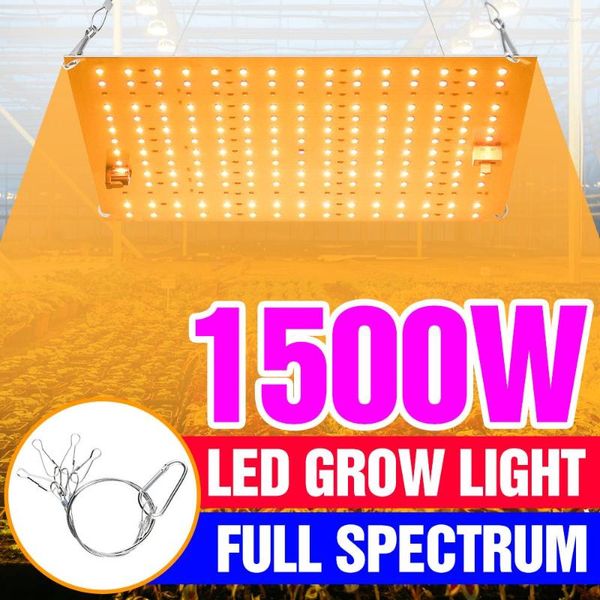 Luzes de cultivo LED Luz hidropônica de espectro completo Phyto Lamp Plant UV Lampara 1500W 2000W para a tenda de crescimento de sementes de flores internas