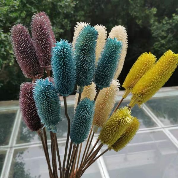 Flores decorativas grinaldas 5pcs/35cm de comprimento Buas de flores secas Teasel Exibir flor artes