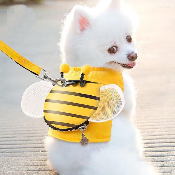 Colarinho de cachorro TRAÇÃO TIPO DE VENDO CHENT CANTA CATO CATO DE TEDDY POMERANIANA TILHA