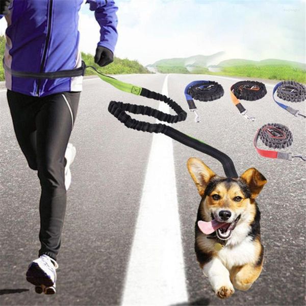 Hundehalsbänder, handfreies Joggen, gepolsterte Taille, Katzenstreifen, elastische Leine, Welpentraining, Spaziergang, Nylon, Lauf-Traktionsgürtel, reflektierende Seil-Sets