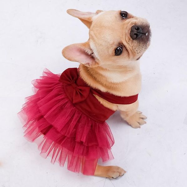 Abbigliamento per cani Abito estivo per cani di piccola taglia Abbigliamento Bowknot Cucciolo Costume Pizzo Tulle Abiti da sposa per feste di compleanno