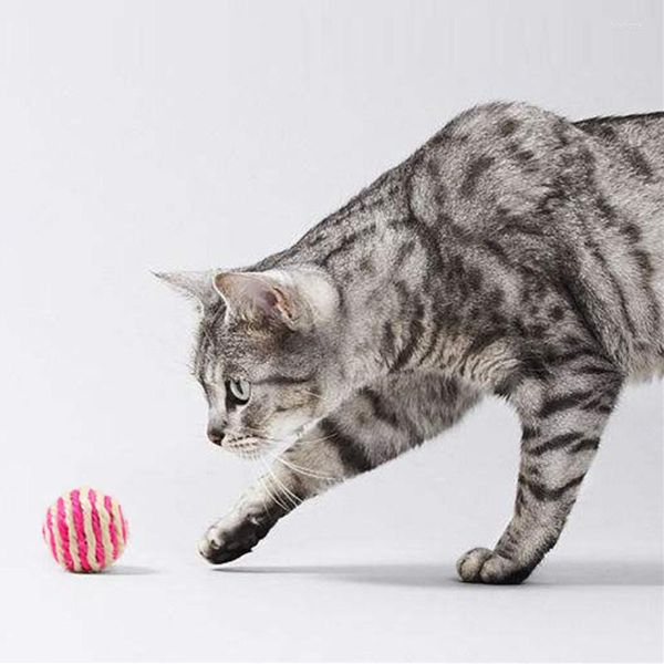 Cat Toys Toy Funny Sisal Ball per gatti Scratch Interactive Self Hi con prodotti per animali domestici resistenti al morso della campana