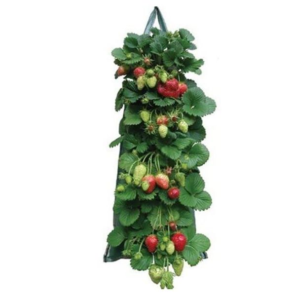 Fioriere Vasi da appendere alla parete Borse per piantare Borsa da coltivazione Fioriera Giardino verticale Verdura Fiore di fragola Delizioso