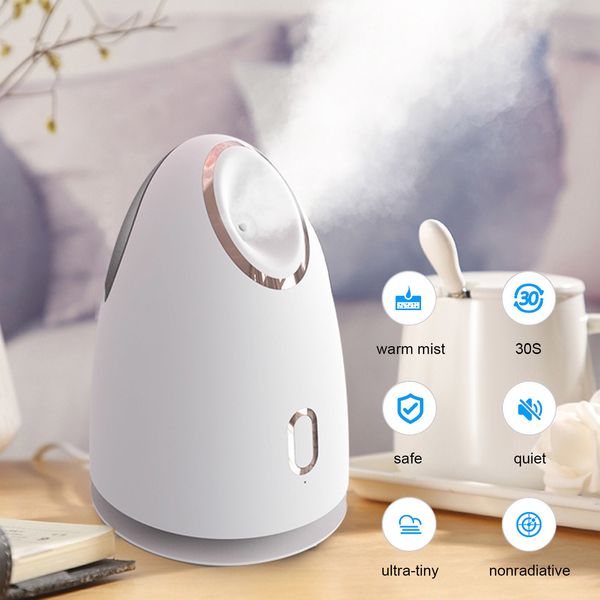 Vaporer a vapor elétrico Cuidado com a pele Spa Profissional Nano Lonic Warm Mist Steam Sauna