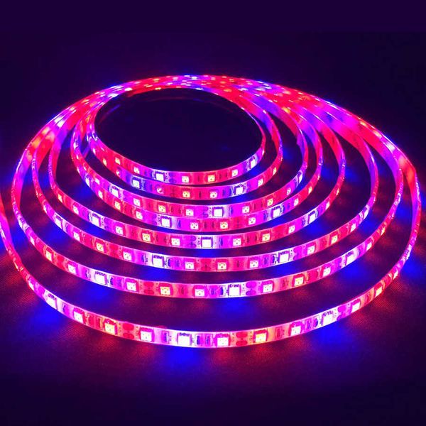 Strisce a LED 1m 2m 3m 4m 5m LED coltivazione Luce DC12V 5050 IP65 Luci di crescita della pianta a LED impermeabile per pianta idroponica di serra dell'acquario P230315