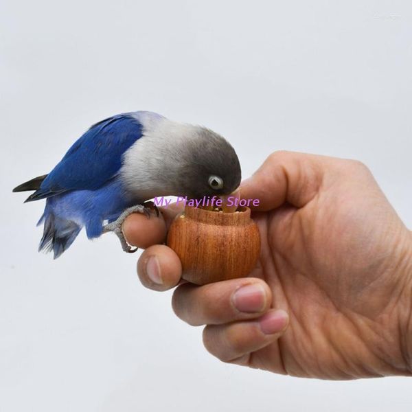 Altre forniture per uccelli Addestramento Mangiatoia manuale Vaso per alimenti Supporto in legno naturale Contenitore per mangime Scatola per pappagallo Puzzle interattivo