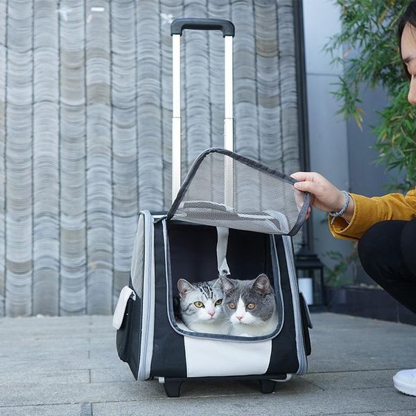 Trasportini per gatti Casse Case Borsa Tirante A due spalle Zaino portatile Traspirante Pet Leva Box Tenda Cuccia grande