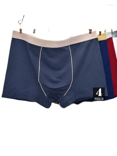 Mutande Boxer da uomo Fertilizzante Aumento Biancheria intima di cotone Pantaloni Pantaloncini grassi larghi Estate Grandi cantieri Uomo Quattro paia di cassetti