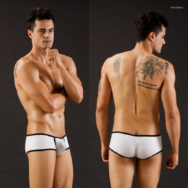 Underpants wj seção fina de seção modal sexy masculino de roupas íntimas 3002SJ Fashion Taste