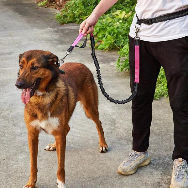 Guinzaglio per collari per cani in elastico riflettente avanzato da corsa a prova di esplosione con 2 fibbie in metallo per allenamento