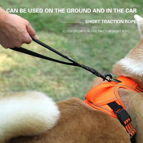 Coprisedili per auto per cani Guinzaglio in nylon Cucciolo regolabile Cintura di sicurezza per veicoli Corda di trazione per cani Gatti Corta per passeggiate all'aperto Forniture per animali domestici