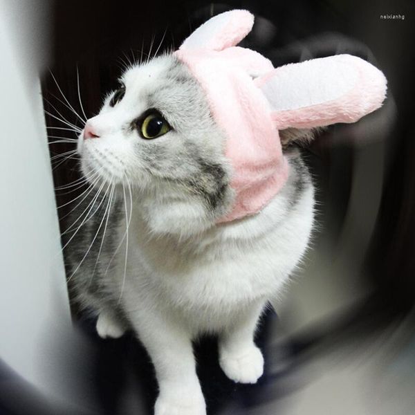 Vestuário de cachorro grande ouvido os chapéus de gato de gato capa traje de traje de halloween hatwearwarwarwarwear gatinho helicóptero decoração de acessórios