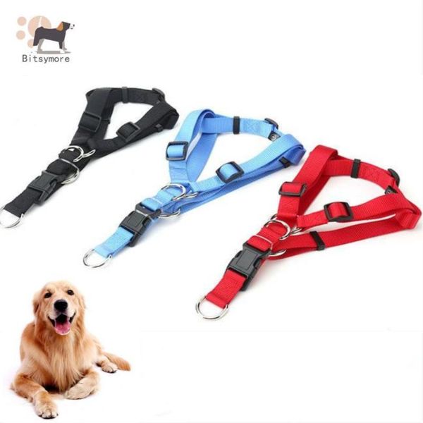 Colarinhos de gato de nylon personalizado cão de estimação sem puxar ajustável para cães de cães pequenos e médios Caminhando pistas de trela de chumbo