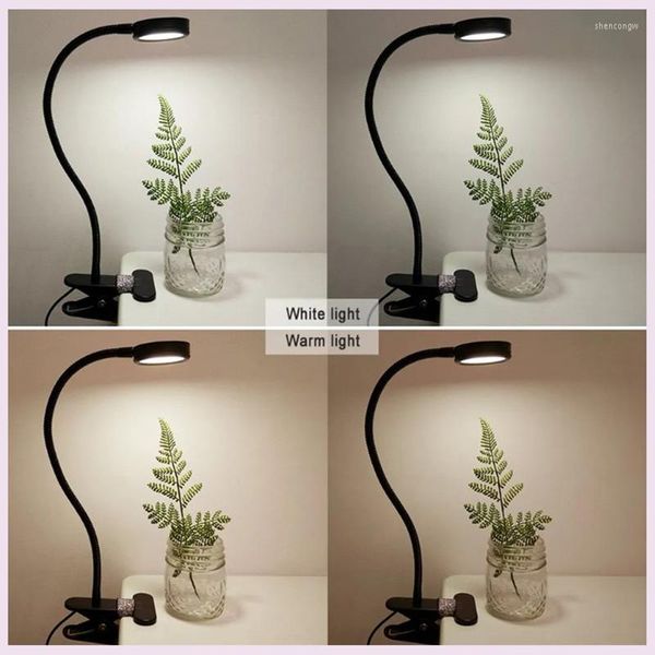 Lâmpadas de lâmpadas de mesa Lâmpada de clipe portátil Usb Luz de mesa de escurecimento recarregável para leitura da noite LED de mangueira de proteção ocular