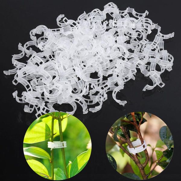 Bahçe Malzemeleri Diğer 50 PCS/PACK Mini Şeffaf Plastik greftleme klipsleri Domates Tesisi Destekler Bağlantılar Vines Bitkileri Tohumlama Klipsleri#30