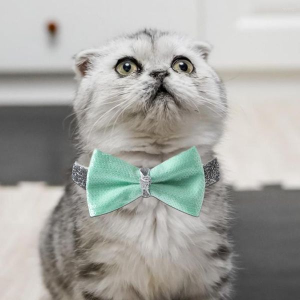 Collari per cani Eccellente collare per animali domestici Affascinante anallergico Cat Cat Bow-knot da indossare ogni giorno