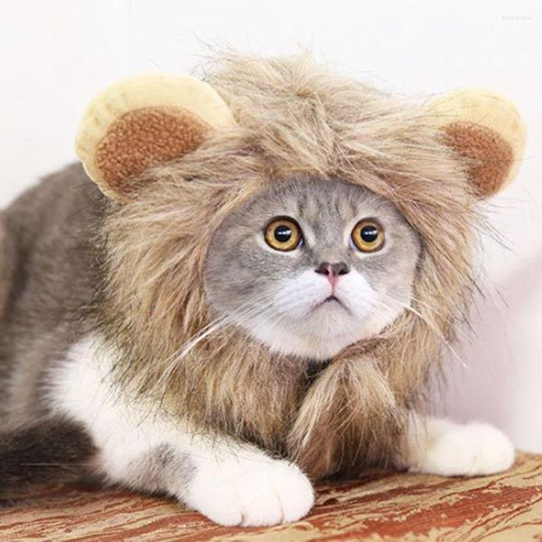 Kedi kostümleri evcil hayvan şapka kostüm cosplay aslan yele peruk kap kawaii ayarlanabilir elbise malzemeleri karikatür oyuncak
