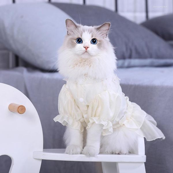 Trajes de gatos 1pcs vestido moda bege algodão fofo poliéster spandex spandex fino anti-pêlo bebê muppet roupas em casa suprimentos de animal de estimação