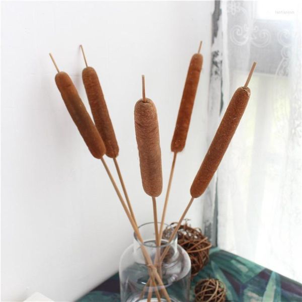 Flores decorativas 5pcs seco Reed Stick Art Decor Home Decor