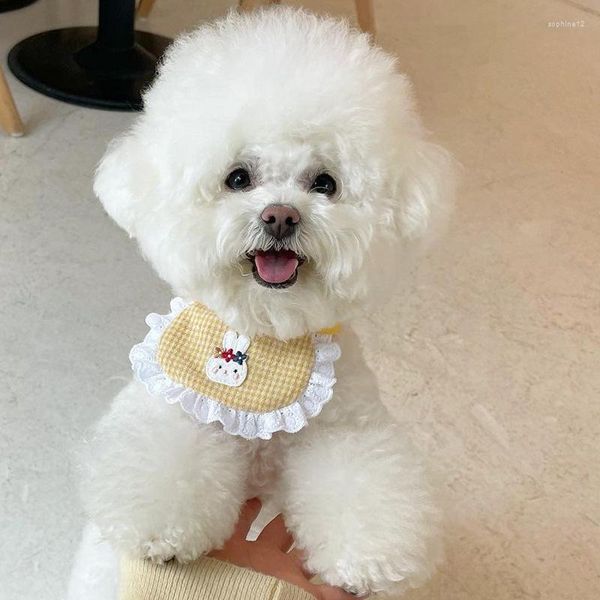 Hundehalsbänder, niedliches Haustier-Lätzchen, Speichelhandtuch, Bichon-Malteser-Katze, Designer-Halsband-Zubehör für kleine Hunde