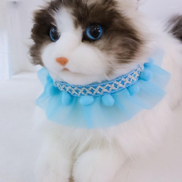 Collari per cani Collare per palline di pelo piccolo Collana semplice per gatti in pizzo per cuccioli Accessori per feste regolabili per animali domestici