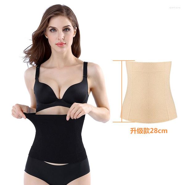 Shapers feminino esculpindo roupas abdomeares sem costura seção de cintura de cintura feminina reduzida