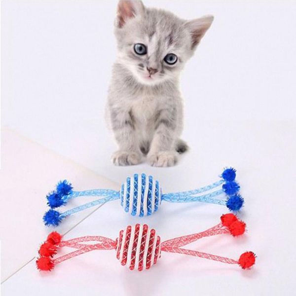 Toys de gato fofos garras apontador de brinquedo bola de bola de plástico acessórios rotatáveis ​​Acessórios Kitten Interactive Playing Chew