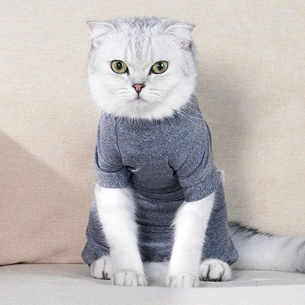 Katzenkostüme Ropa Para Gatos Einfarbige Pullover Zuhause Bequeme Winterkleidung für kleine Hunde T-Shirt Anti-Flusen-Mascotas-Kleidung