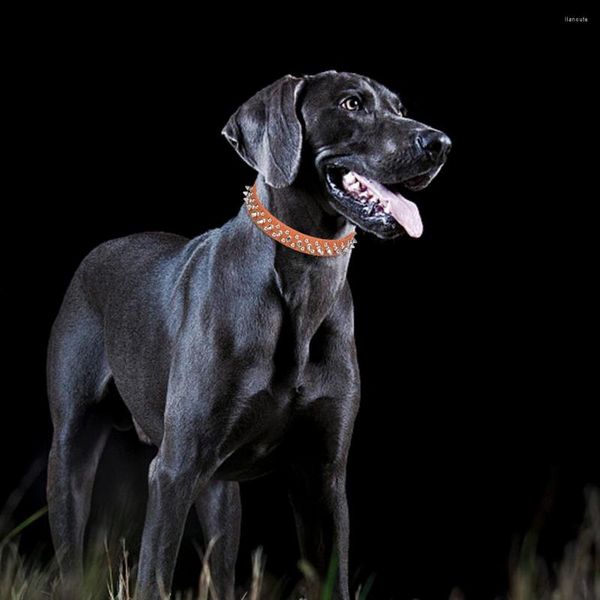 Collari per cani Collare con cinturino da collo punk Rivetto anti-morso a spillo regolabile con borchie per piccoli accessori per animali domestici