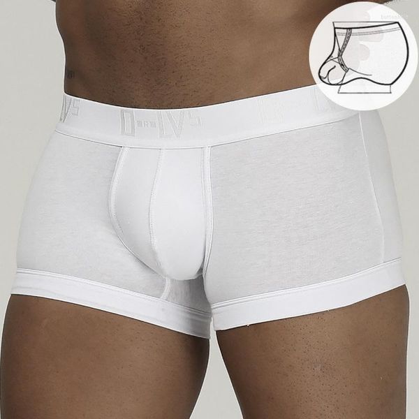 Shorts masculinos Orlvs Roupa íntima masculina Algodão baixa Support Scrotal Support Solid Color Boys 'Ring Boxer