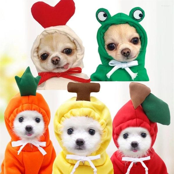 Katze Kostüme Winter Hund Mantel Jacke Obst Haustier Kostüm Für Welpen Yorkie Pudel Kleidung Kleine Sweatshirt Hoodies Mascotas