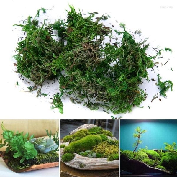 Dekorative Blumen 100g/Beutel DIY Künstliche Grünpflanze Unsterbliche Gefälschte Blume Moos Gras Hause Wohnzimmer Wand Mini Zubehör