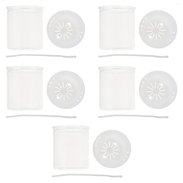 Bewässerungsgeräte, 5 Sets, Selbsttöpfe, Blumenkübel, dekorative Blumentöpfe, Fensterbox für transparent