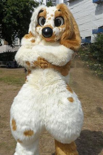 Длинная меховая хаски собачья собачья талисман талисман кожа