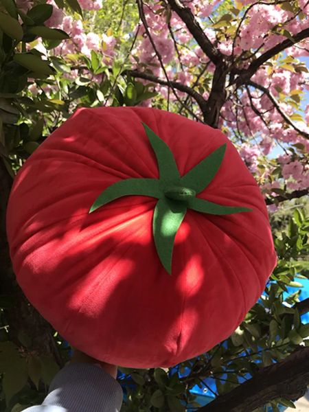 Simulação Super Soft Soft Tomate Plush Toy Cute Big Red Vegetable Doll Sofá Presente de aniversário 40cm 15.7inch