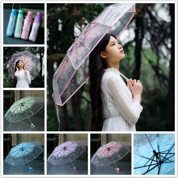 Regenschirm, transparent, mehrfarbig, klar, Regenschirm, Kirschblüten-Pilz, Apollo Sakura, 3-fach, kreativer Regenschirm mit langem Griff