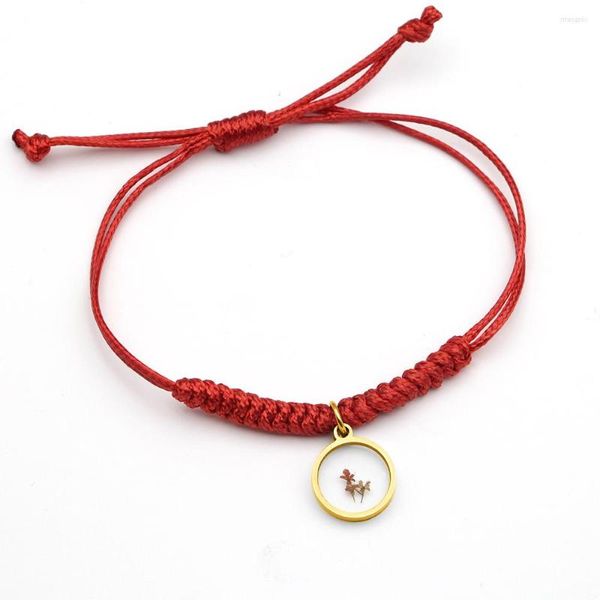 Charm Armbänder Ankunft 12 Farben Schneeperle Getrocknete Blumen und Pflanzen Rotes Seil Weben Edelstahl Charms Für Frauen Schmuck