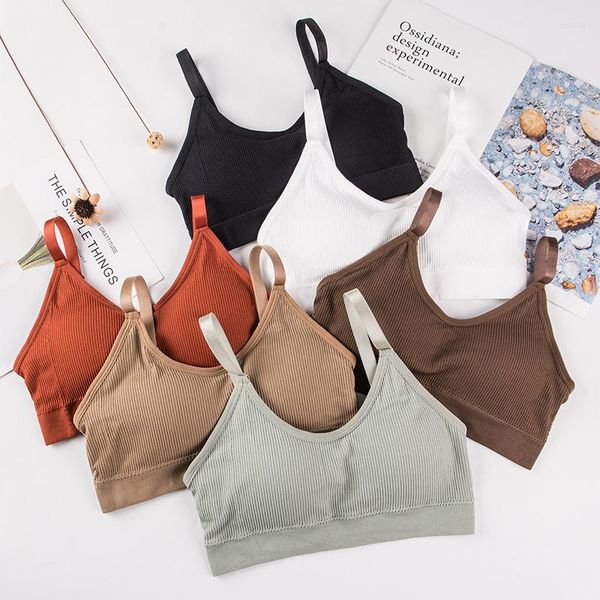 Yoga-Outfit, bequem, nahtlos, Bralette, Sport-BH, Damen, Fitness, Crop Tops, verstellbarer Träger, BHs, Laufen, Fitnessstudio, weibliche Push-Up-Unterwäsche