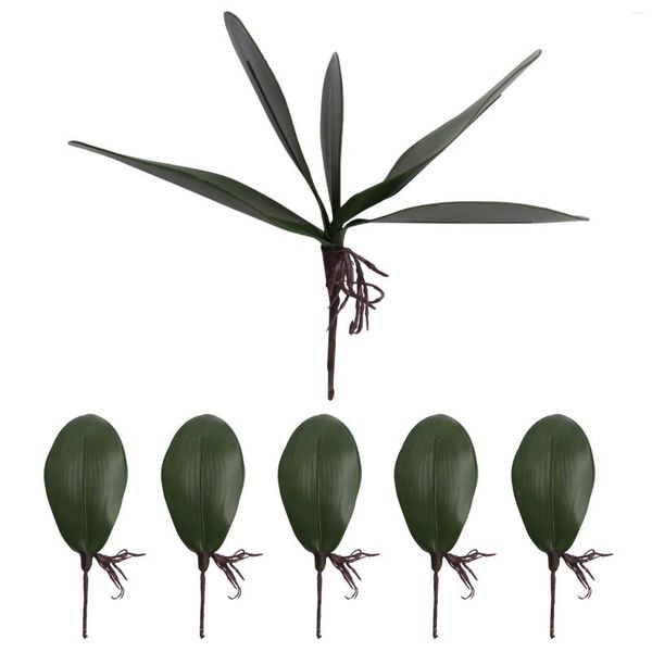 Декоративные цветы фалаенопсис орхидеи оставляют искусственные реальные корни.