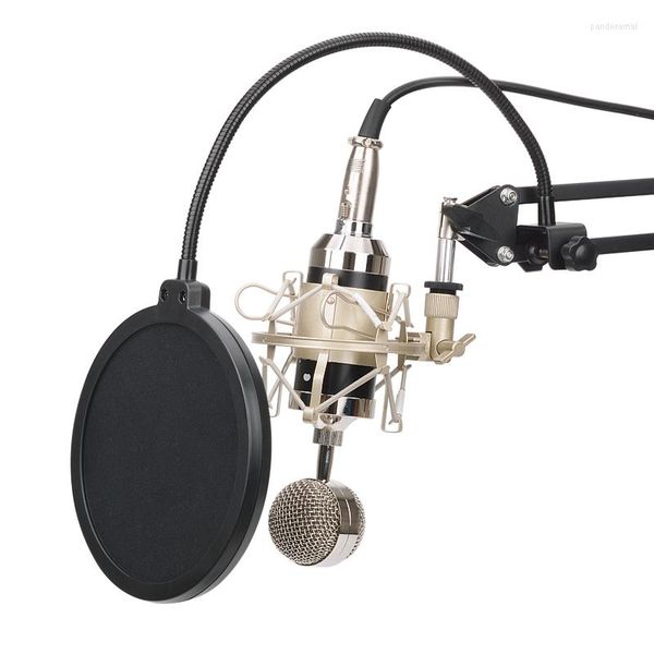 Микрофоны BM8000 Караоке -микрофона студии конденсатор Mikrofon KTV BM 8000 MIC для радиоприемника по петли
