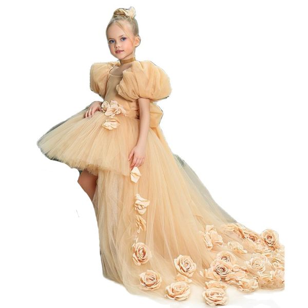 Vestidos populares populares para meninas com baixa flor de largura para casamento de manga curta Bithday Bithday GOWNS FRONTEIRO PARA LONGA VESTIMENTO DE PROM SANTA COMUNIÇÃO LONGO