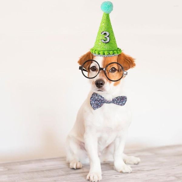 Abbigliamento per cani Cappello di compleanno per animali domestici carino con numero Cucciolo di gatto Copricapo Costume Festa di Natale Accessori per animali domestici