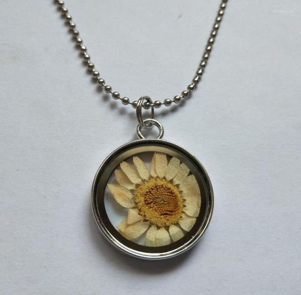 Collane con ciondolo Collana di semi di girasole con fiori secchi naturali naturali Girocollo con medaglione in vetro rotondo da 28 mm Steampunk Trasparente Scatola postale Regali