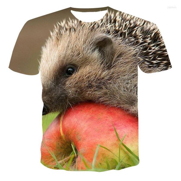 Camisetas masculinas Trendência 2023 Moda 3D Impressão confortável e rápida camiseta seca casual Cool superior 3dt Caminhão Padrão de hedgehog