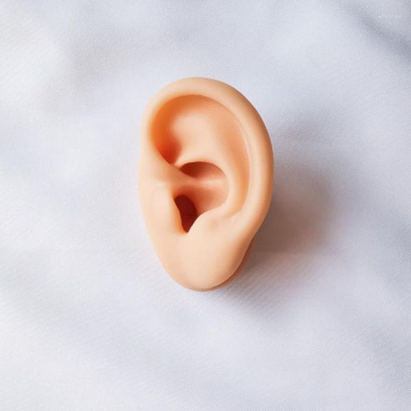 Schmuckbeutel Silikon-Ohr-Modell künstliche menschliche Anzeige zum Hören von Kopfhörern Praxis-Piercing-Schaufenster mit Körper