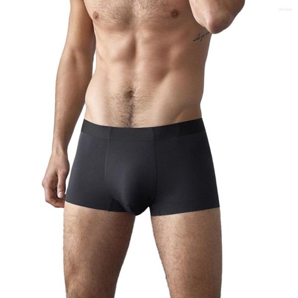 Caleçon Hommes S Élastique Polyester Boxers Quotidien Piscine Fête Plage Garçons Sous-Vêtements Conception Simple Couleur Unie Respirant Slip Vêtements