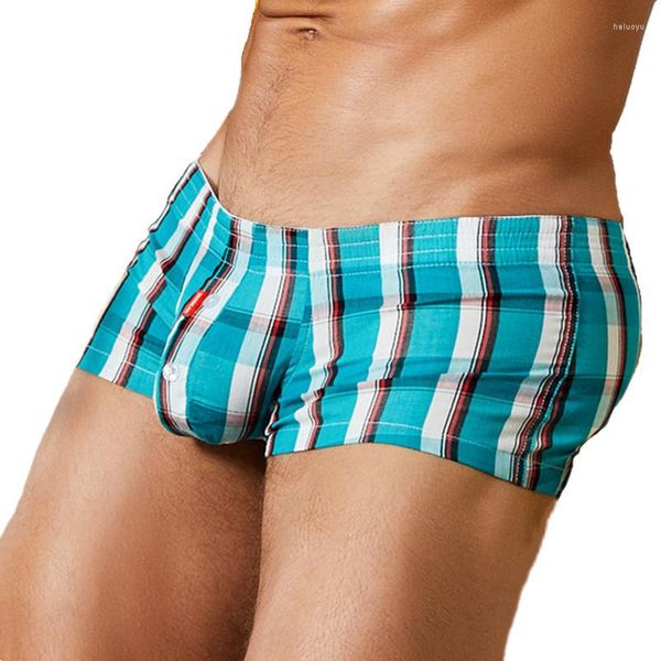 Cuecas cuecas seobens algodão boxers clássicos boxer shorts masculinos calcinha de roupas íntimas do solo de sono para dormir em casa