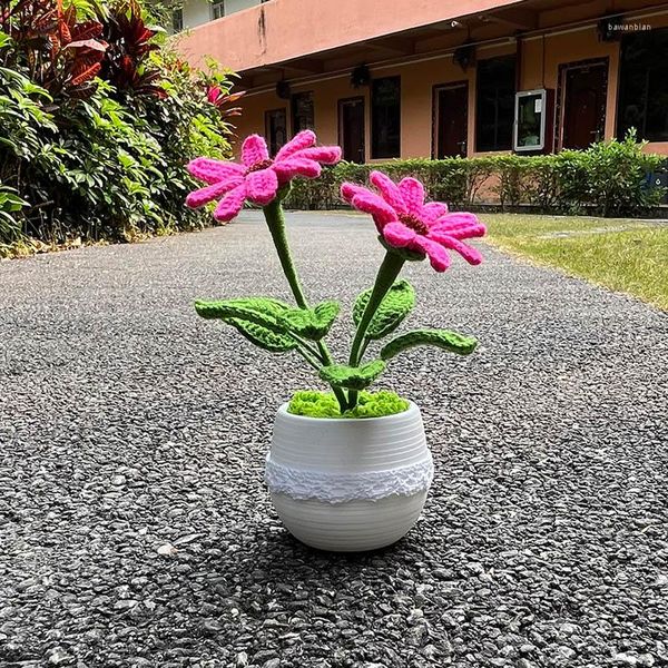 Flores decorativas Plantas de Gerbera de crochê Bonsai Presentes tricotados à mão para paterno Decorações de mesa de mesa para casa Acessórios