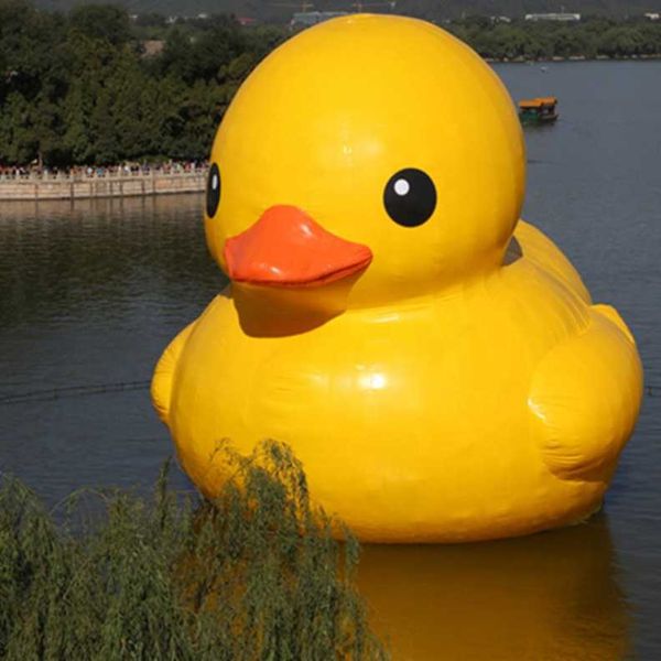 8mh adorável fofo hermético Amarelo Amarelo Inflável Bóia Duck Gigante Pvc Ducks de borracha para publicidade mostrando