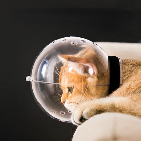 Repellentien Katzenkopfbedeckung Antilicking Antibite Fight Ball Sleeve Katzenhalsband Antiscratch Ring Pet Space Hood Elizabeth Ring Fashion Helm